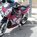 FZR600 (065)